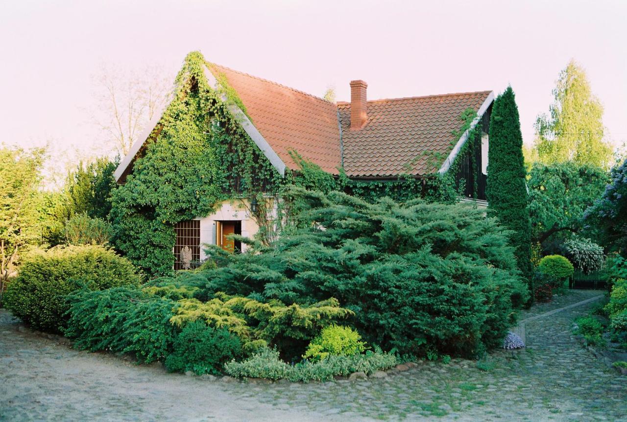 Willa Reglowka Stylowy Dom Pachnacy Ogrod Wola Krakowianska Exterior photo